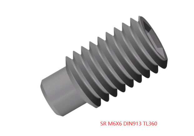 original carbide inserts  28pcs   SR M6X6 DIN913 TL360