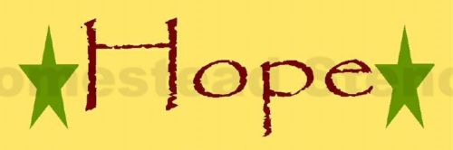 ~ITEM #3892 A Primitive Stencil~ HOPE