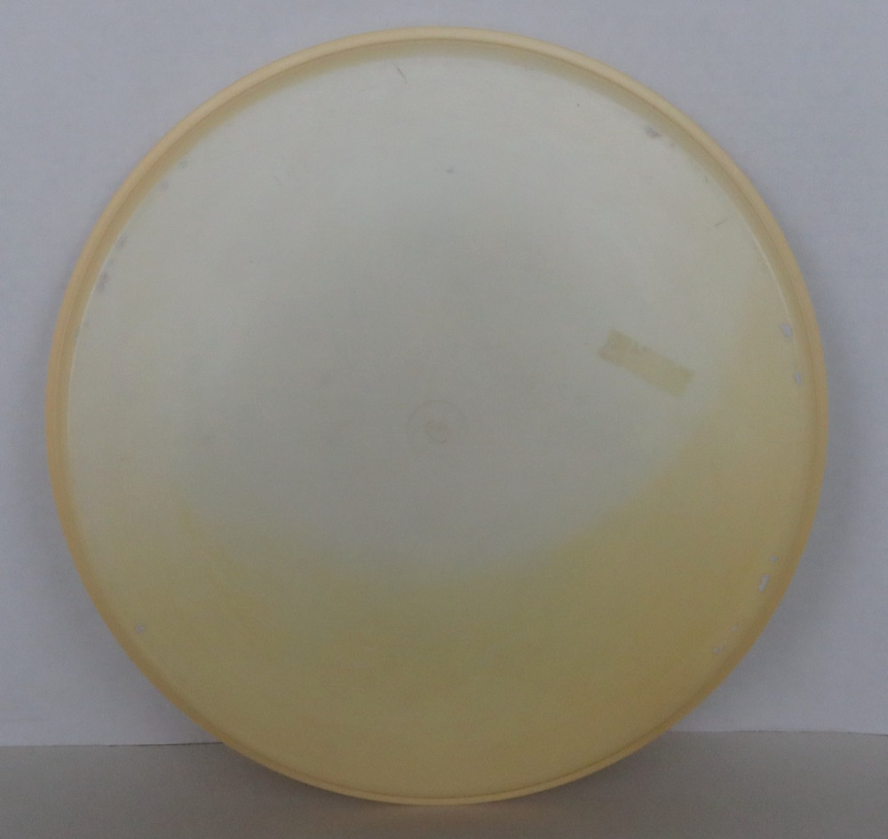 Nutron Plastic Fruit Print Serving Drink Tray Mid Century Modern 13.5 " Round