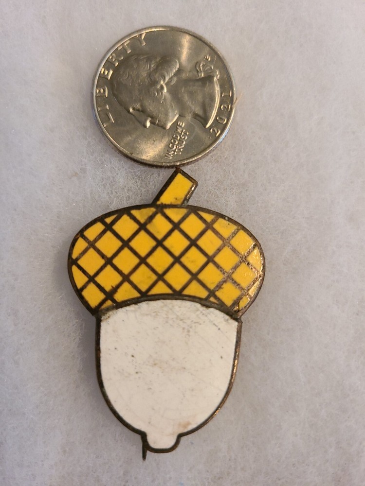 Civil War 14th Corps Badge