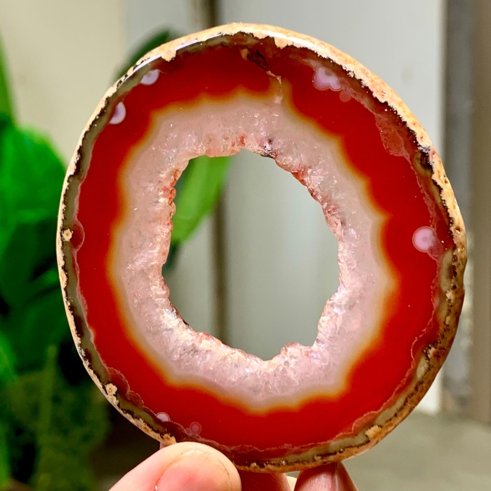 38G Natural Beautiful Agate Geode Druzy Slice Extra Large Gemstone