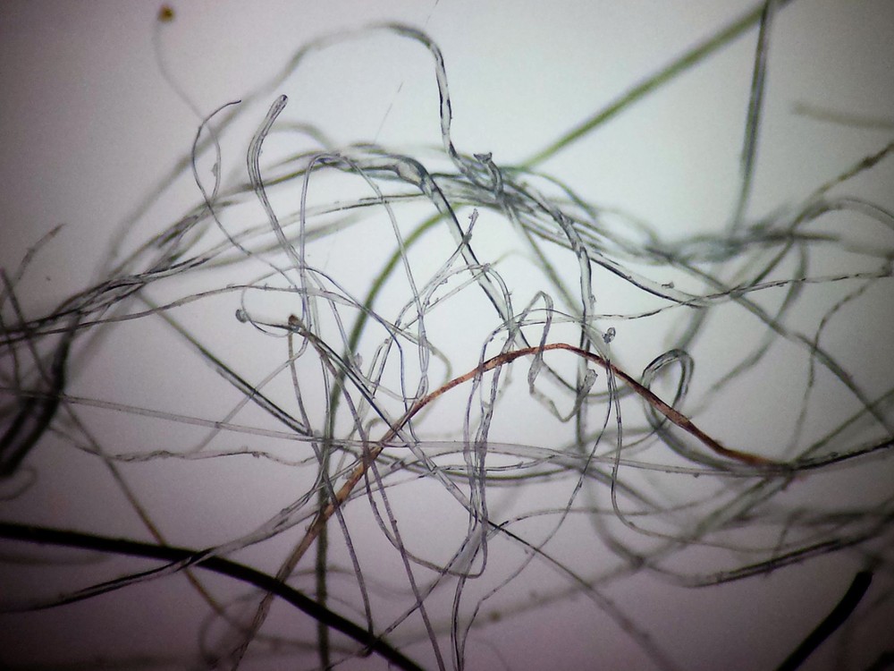 Microscope 32 mm Polarizing Filter Set - Affordable Must Have Accessory Set!