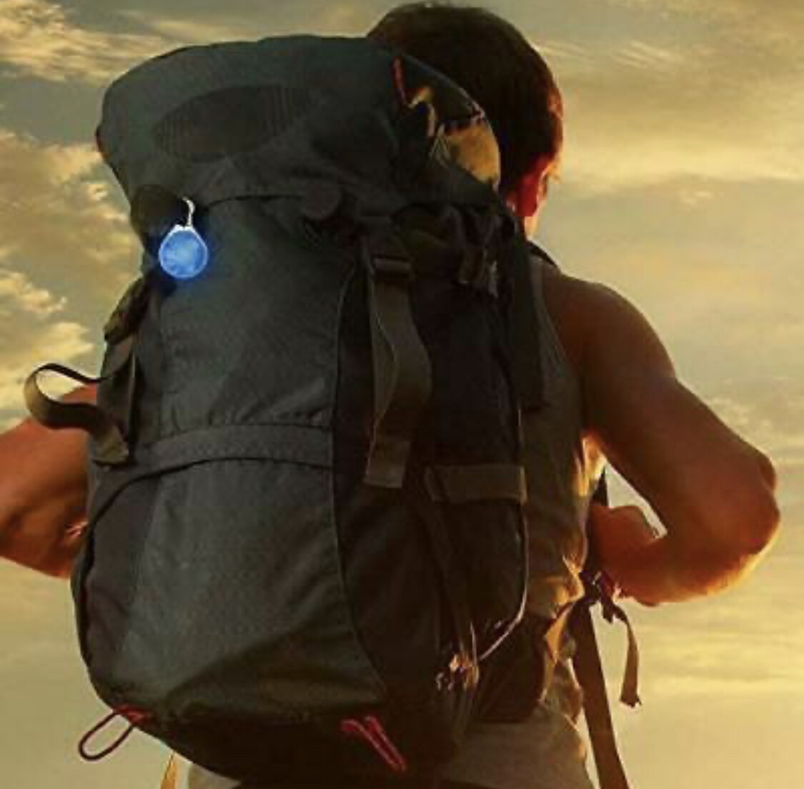 LED CLIP ON SAFETY LIGHT CAT DOG COLLAR PENDANT KEY CHAIN GLOW, FLASH, JOGGERS