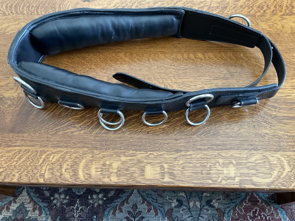 Training Surcingle, Horse Size. All Leather with Multiple Rings.