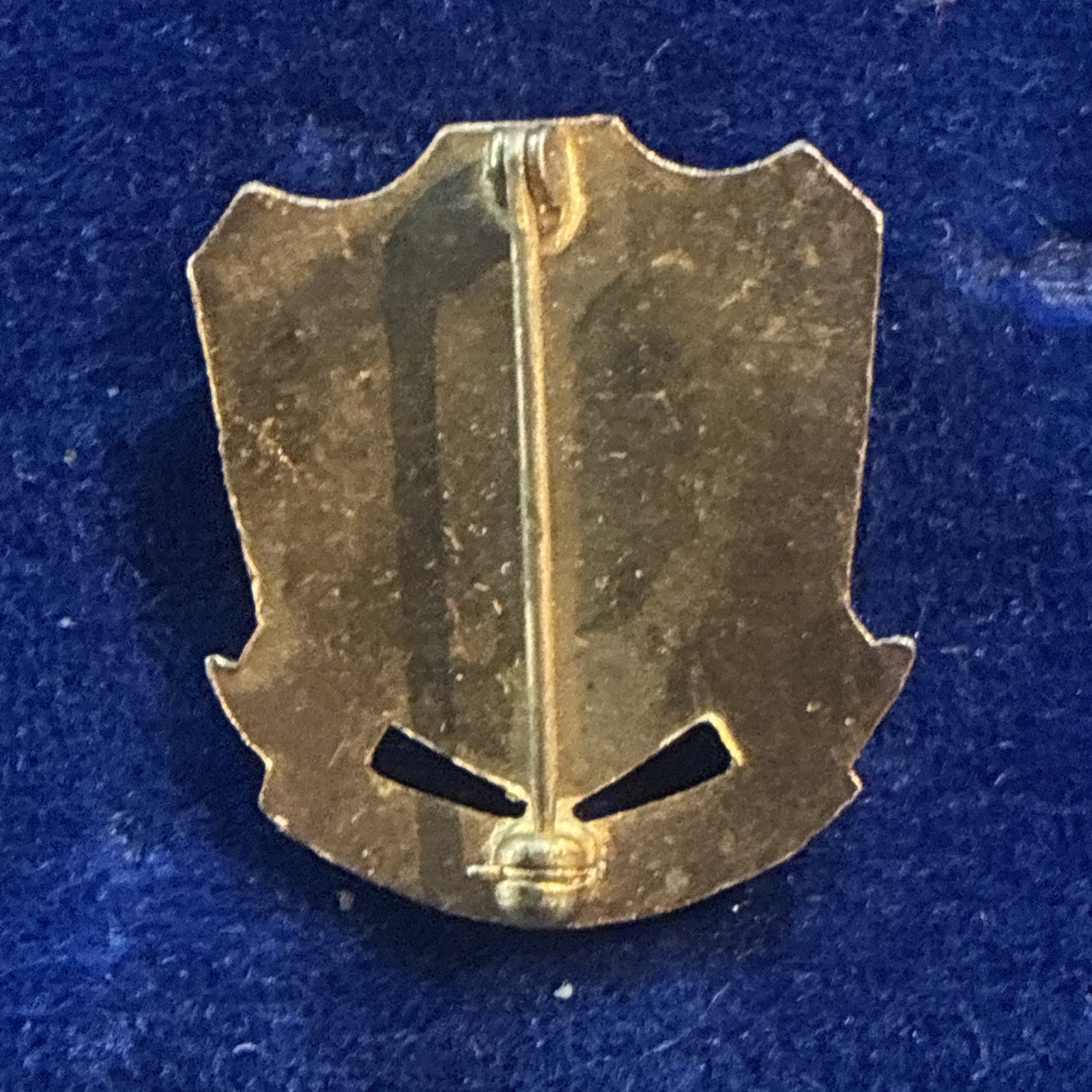 Military Crest Pin 158th Infantry Regiment CUIDADO Gila Monster Militaria ~ L