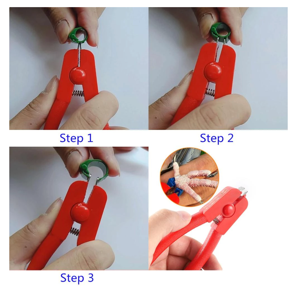 Multi Function Disassembly Bird Foot Ring Tool Professional Electronic Ring Open