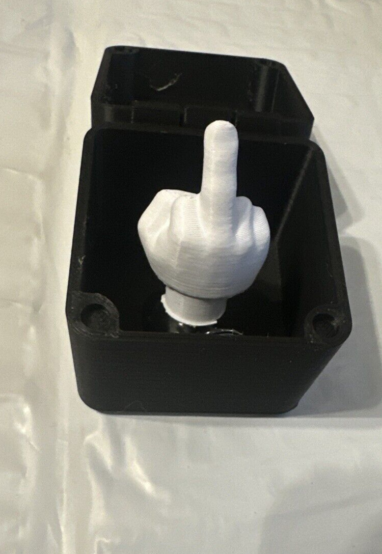 Middle Finger In A Box Funny Surprise Prank Spoof Hand Pop up Box Gift Adults US