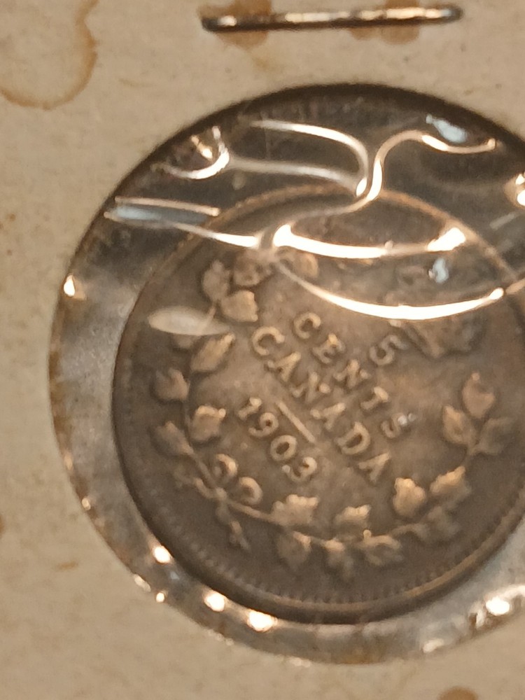 Canada 1903 5 In Cents Silver