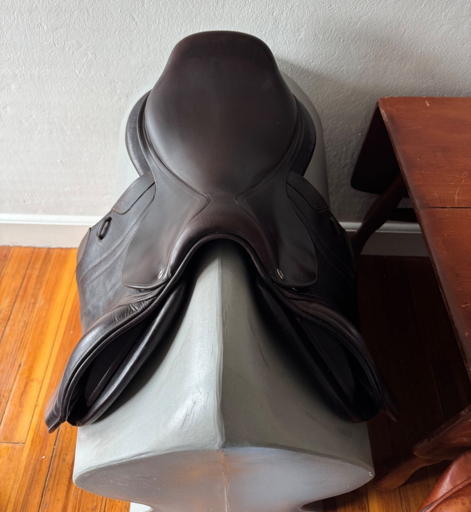 18" CWD SE02 Saddle - 2019 - 4C - Full Buffalo - PRO Panels!