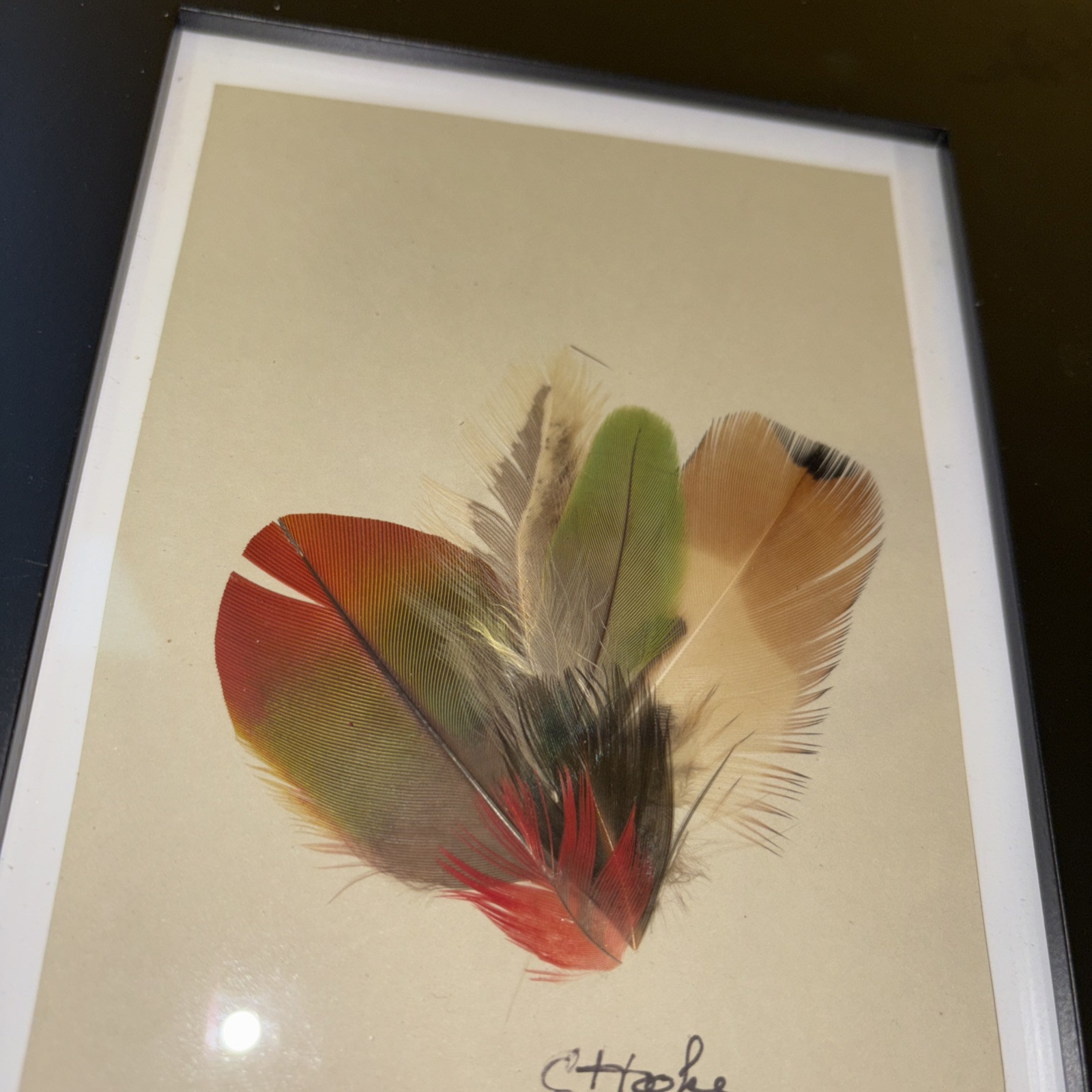 Signed C Hooke Mikmaq Feather Art Native Mi’kmaq Nova Scotia Canada Framed