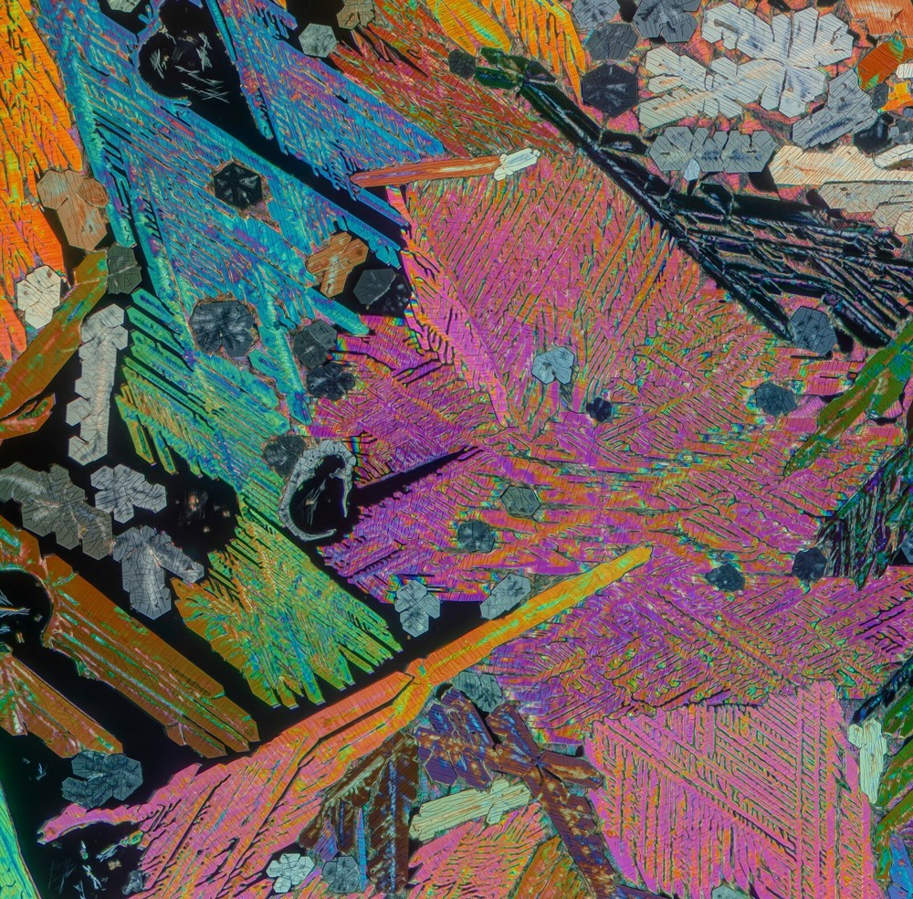 Microscope slide for polarized light NIACIN and CAFFEINE