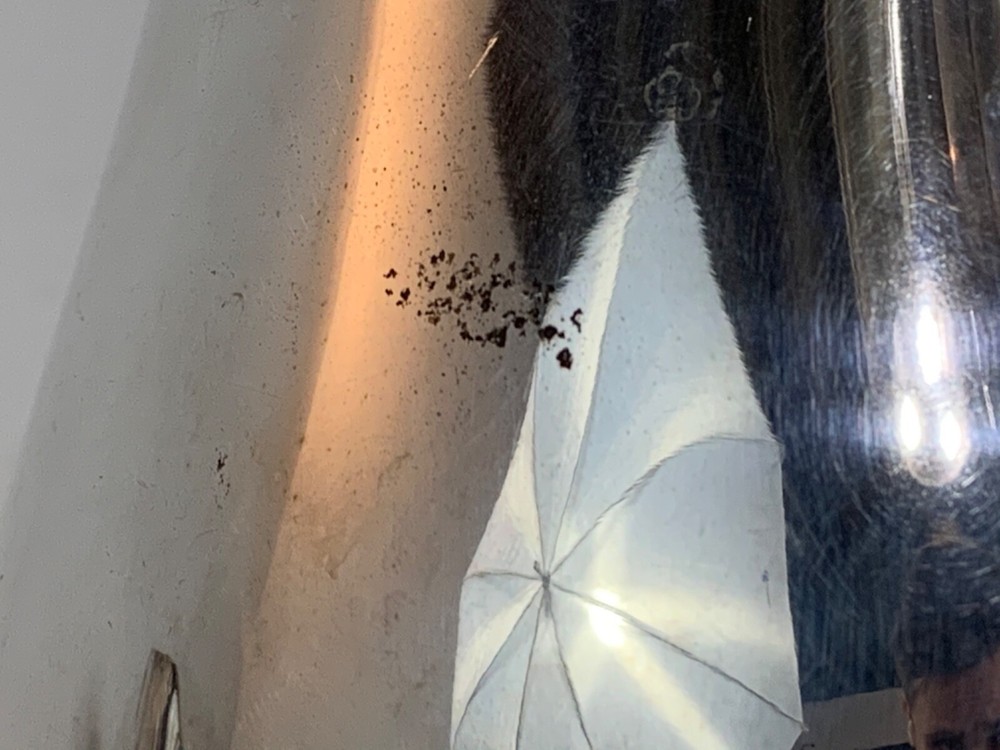 Vintage Leonard Silver Water Pitcher Footed Ice Guard