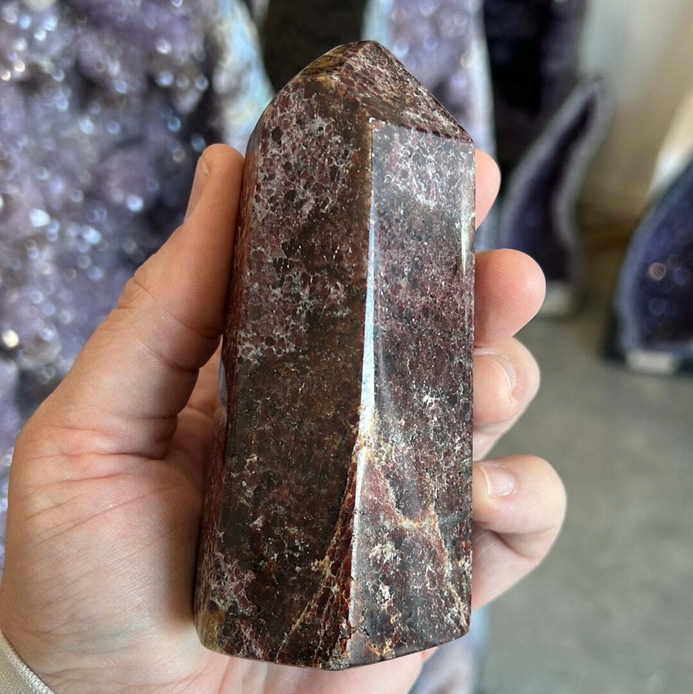 Garnet Tower F
