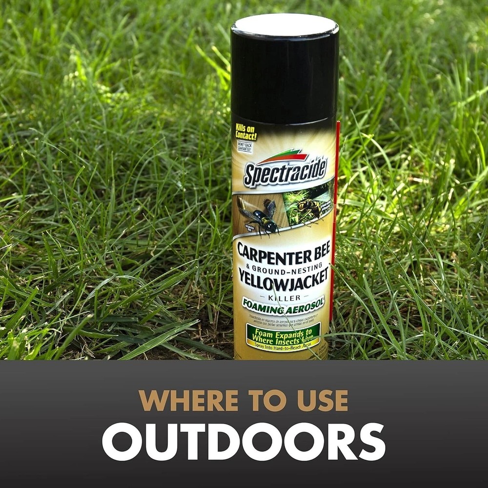 Spectracide Carpenter Bee & Nesting Yellowjacket Killer Spray 16Oz Each