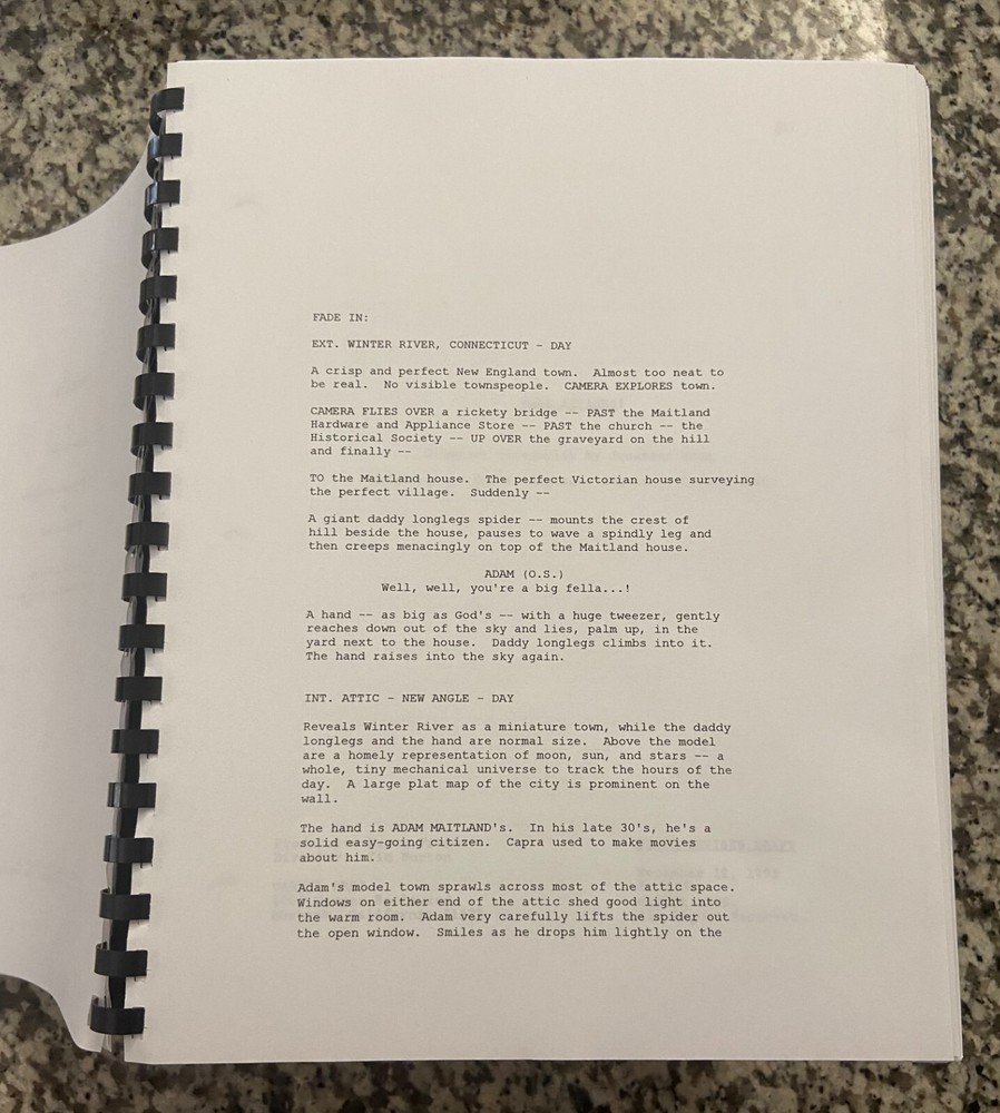 Beetlejuice Horror Movie Script Reprint Full Screenplay Script