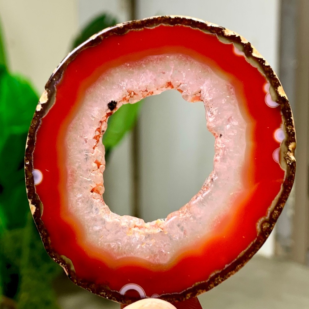 38G Natural Beautiful Agate Geode Druzy Slice Extra Large Gemstone