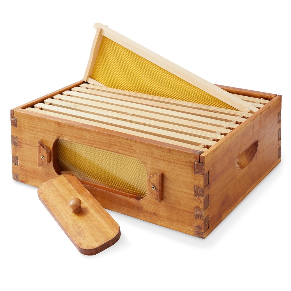 Medium Super Waxed Box with Window, 10 frames and 10 Yellow Foundations