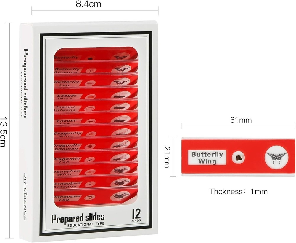 Non-Toxic 48 Prepared Microscope Slides - Ideal for Classroom Science Engagement