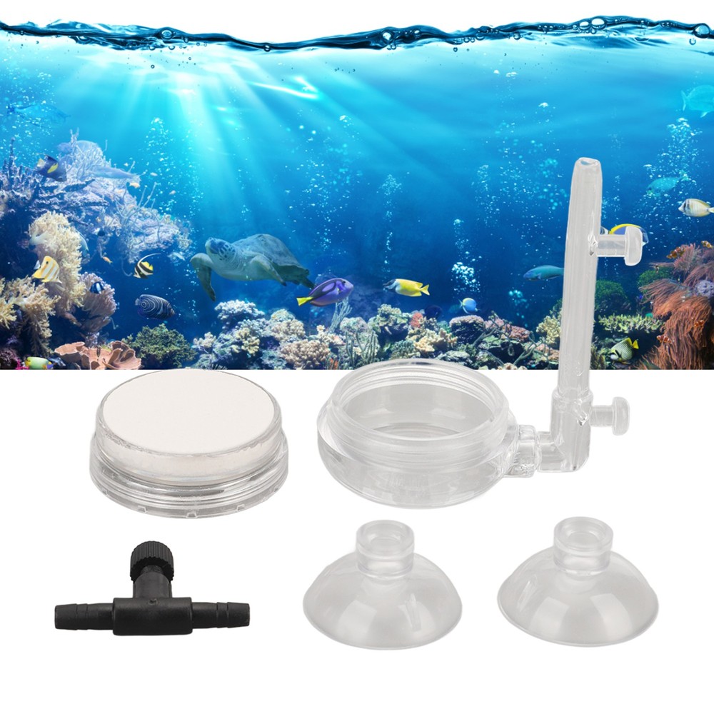 Aquarium Bubble Stone Diffuser For Dense Clouds Of Small Bubbles For Home Office