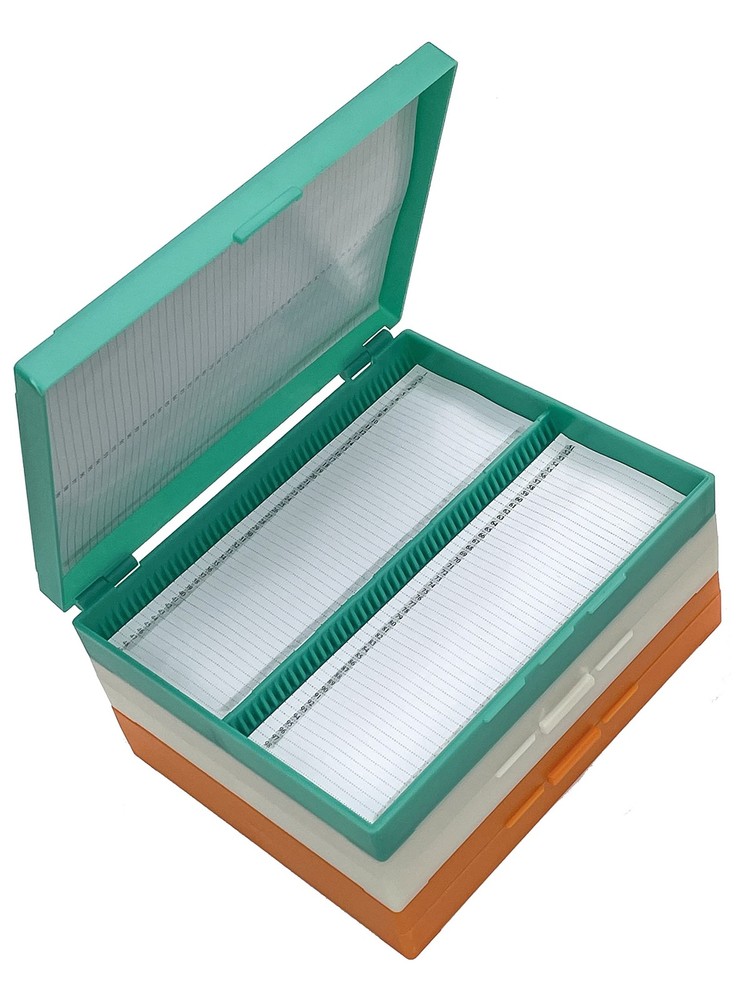100-Place Plastic Microscope Slides Storage Box, 3 Packs Microscope Glass Sli...