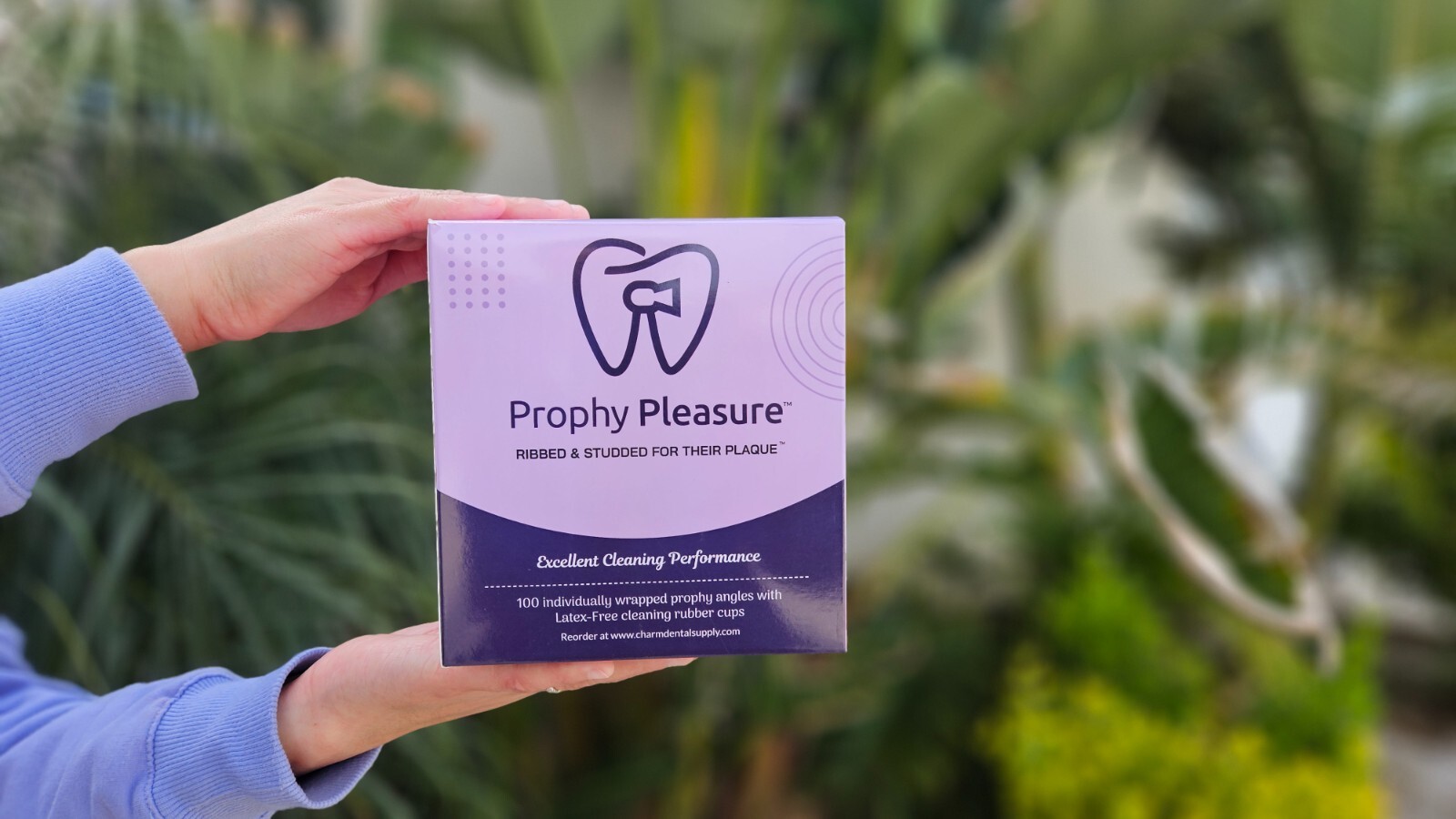 PROPHY PLEASURE - 100PCS - Best NEW Prophy Angle Dental - Ribbed and Studded