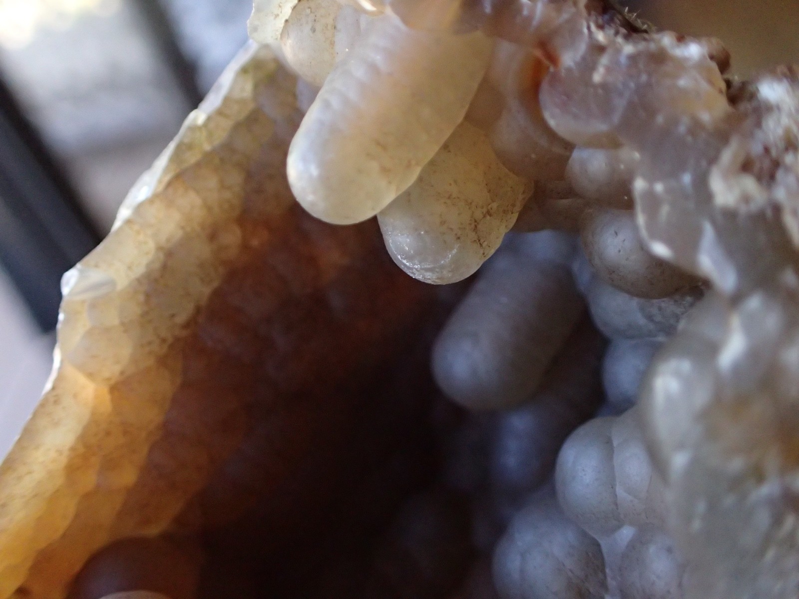 Botryoidal Fossil Coral Geode Fragment GA Agate Ocean Fluorescent Specimen WC8