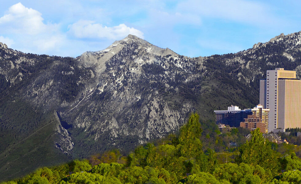 TrainJunkies Mountain City Model Railroad Backdrop