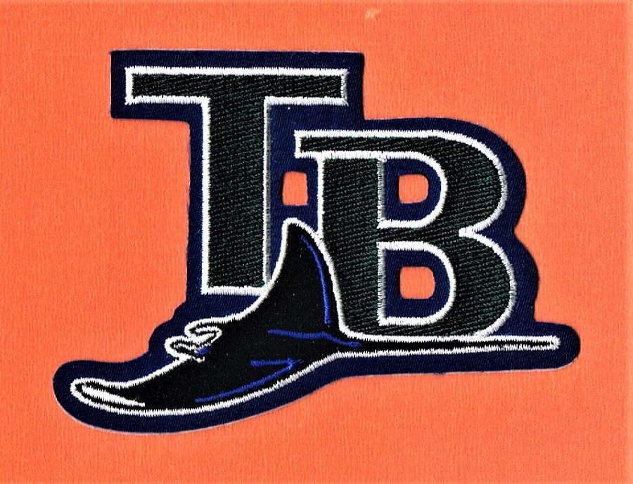 TAMPA BAY DEVILS RAYS MLB EMBROIDERED MLB 4 Inch Wide Baseball PATCH