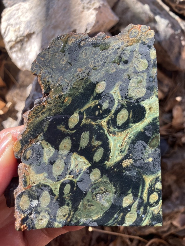 Kambaba Jasper Slab