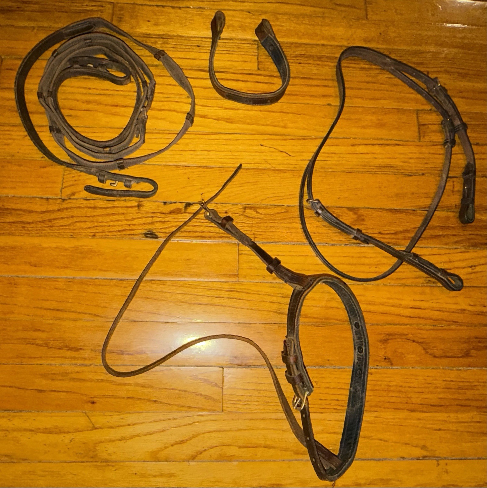 Leather Horse Head Gear and Leather/Nylon Reins