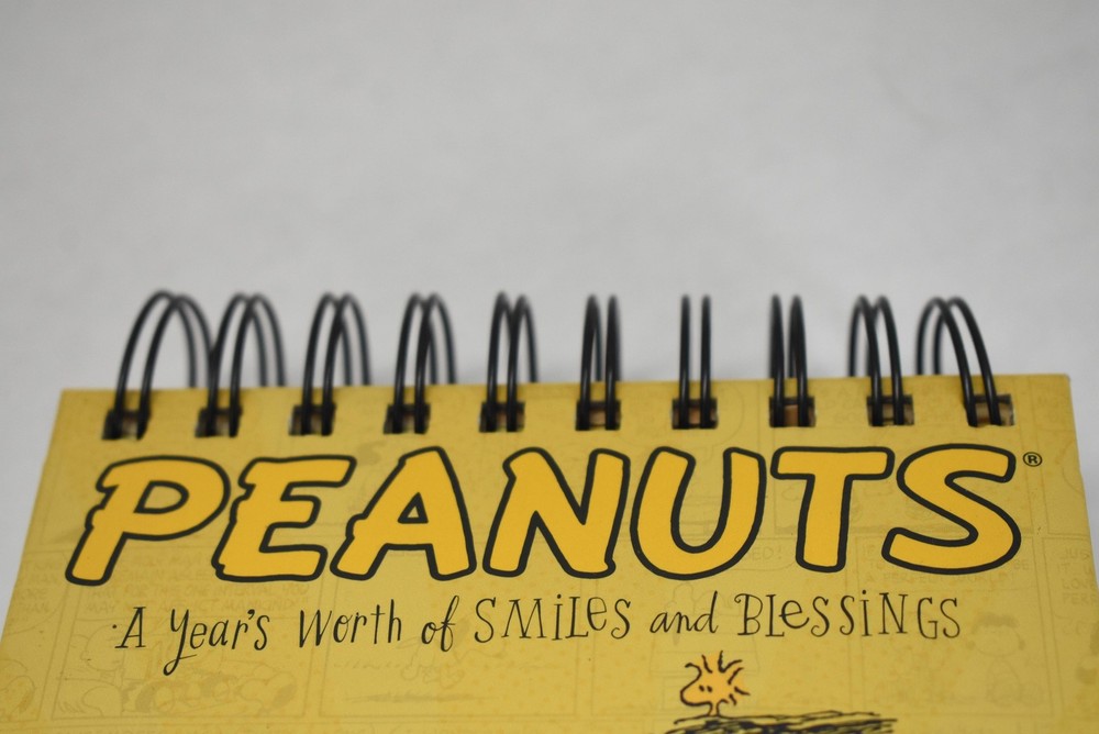 DaySpring Peanuts Snoopy Smiles Blessings Note Pad Comic Strips Fun & Curiosity