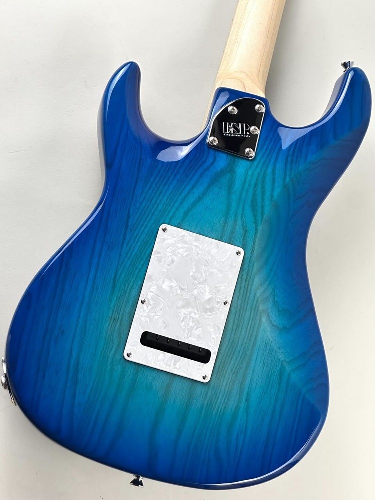 EDWARDS E-SNAPPER-AS M Weight 3.8