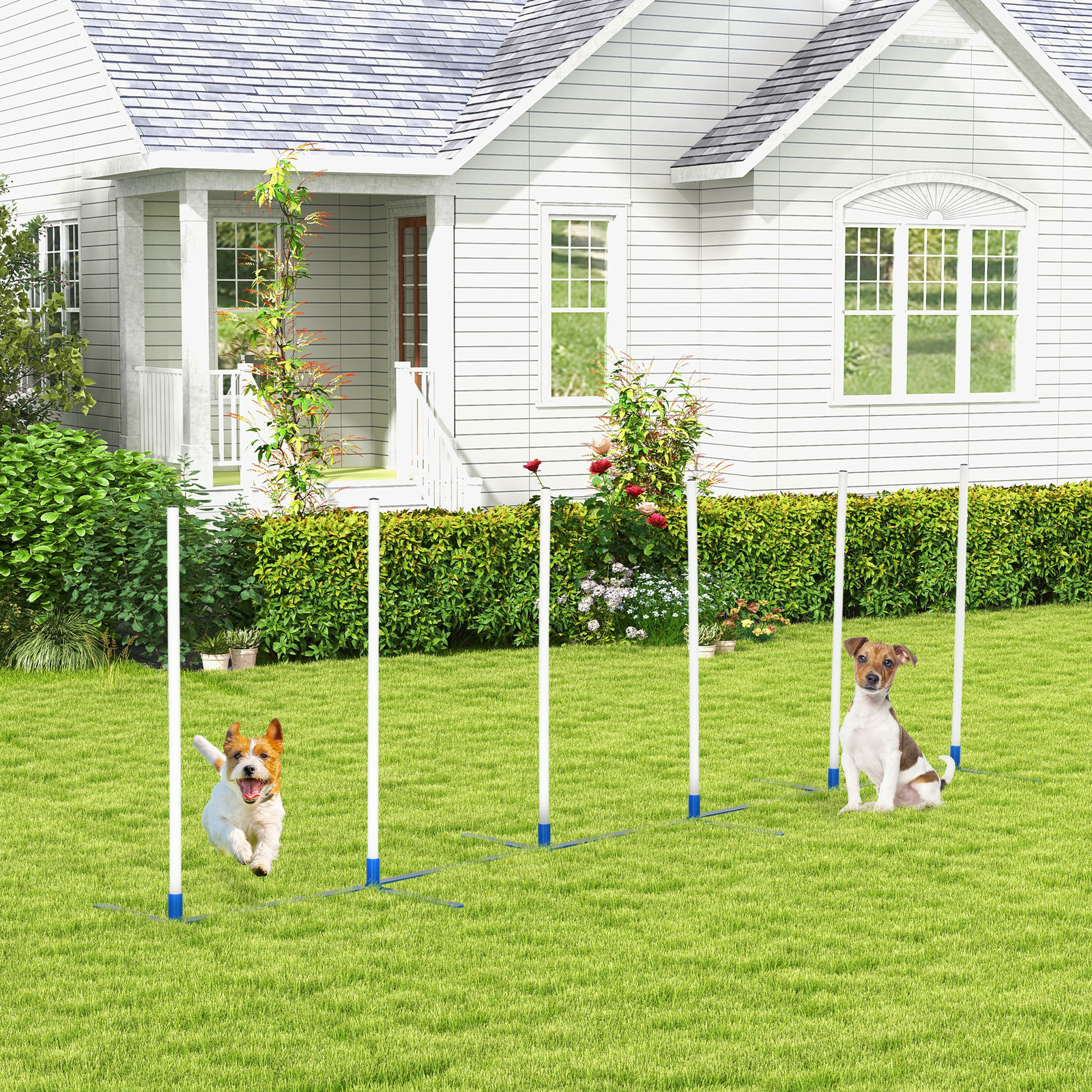 Dog Weave Pole Set Agility Starter Kit Pet Outdoor Exercise Training Set