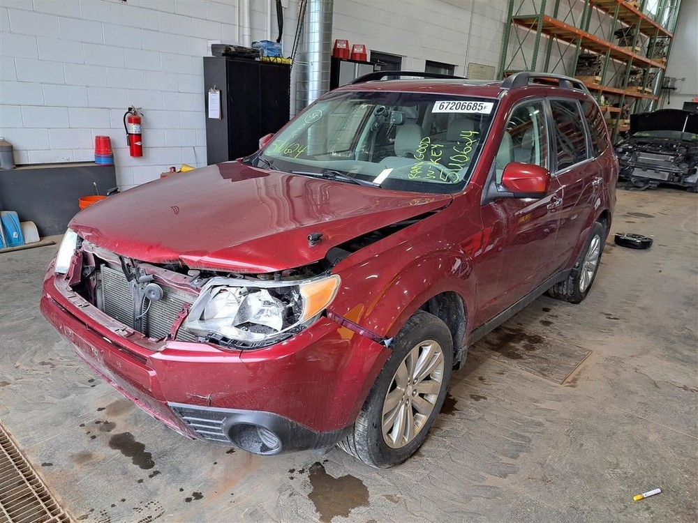 2011 Forester Jack Sku#4228777