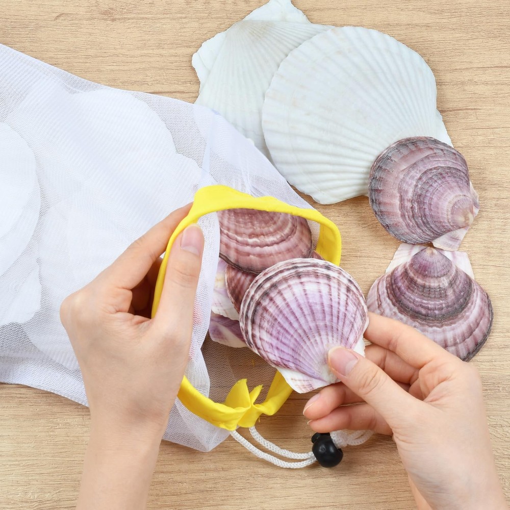 Decoupage Crafts Shells, Large Real Shells, 20PCS Clean Purple Shells with Ba...