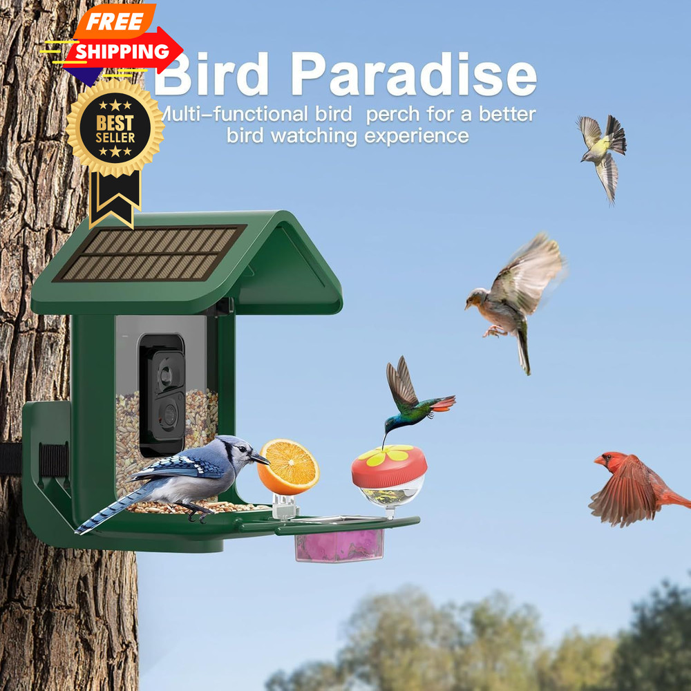 Bird Feeder with Camera Solar Powered : Smart 2K Green