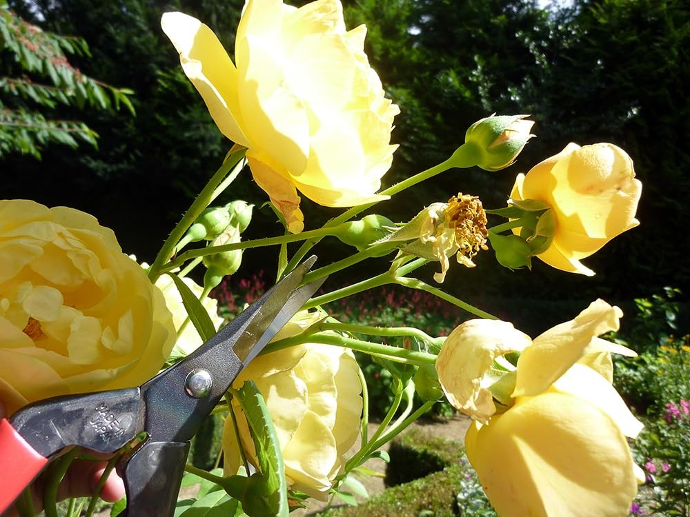 Okatsune Bud Cutting Shears No. 304 Black