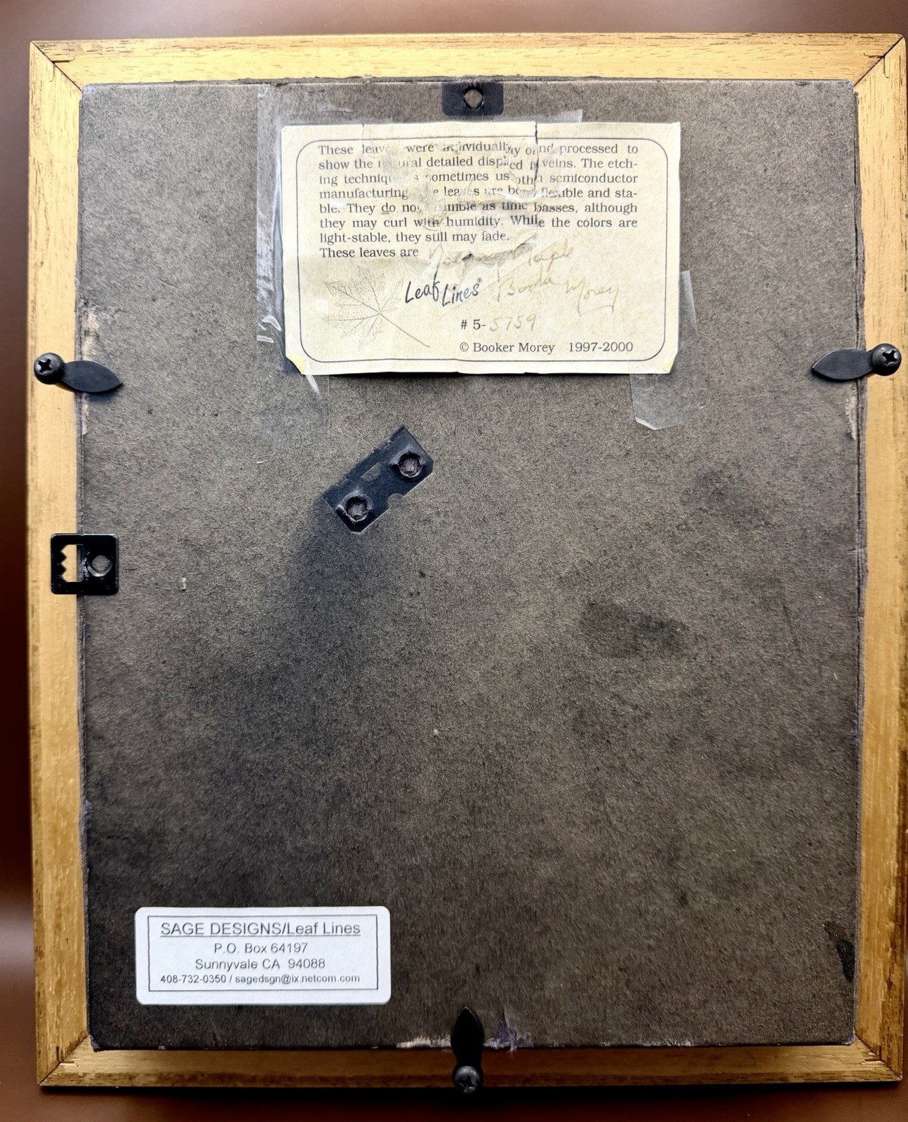 Booker Morey – Leaf Lines Maple Leaf Shadowbox #5/5759 Framed Botanical Skeleton