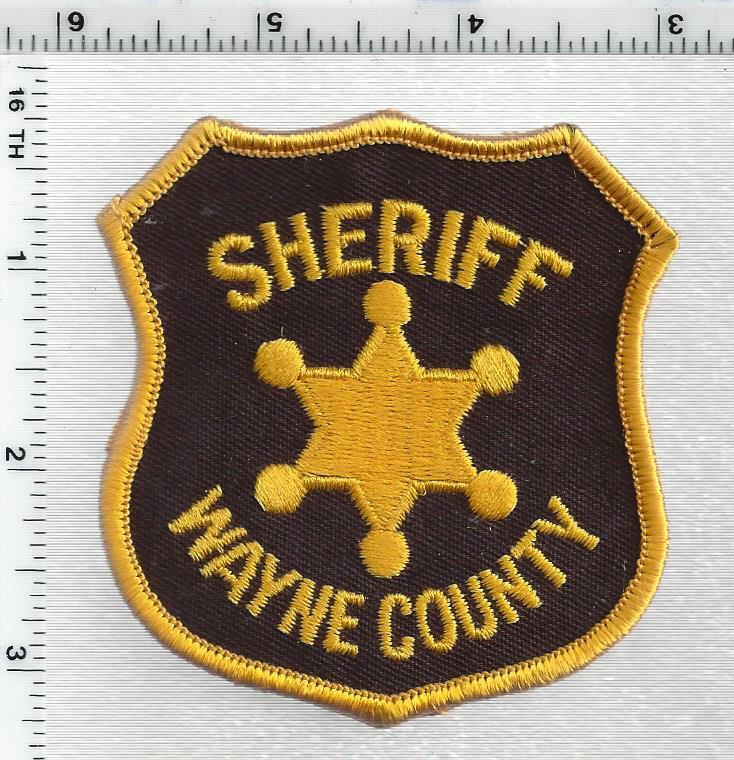 Wayne County Sheriff (Michigan) 2nd Issue Cap/Hat Patch