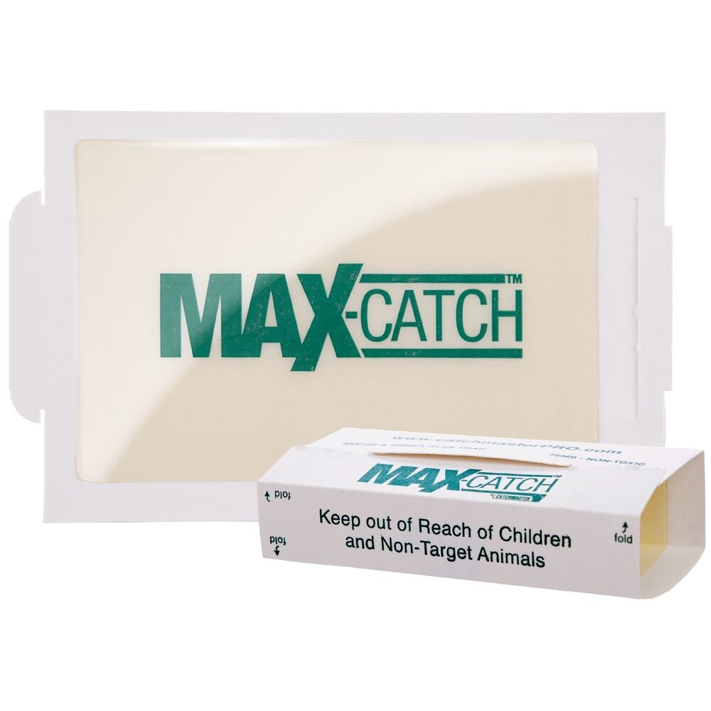 Catchmaster Max-Catch Mouse & Insect Glue Trap