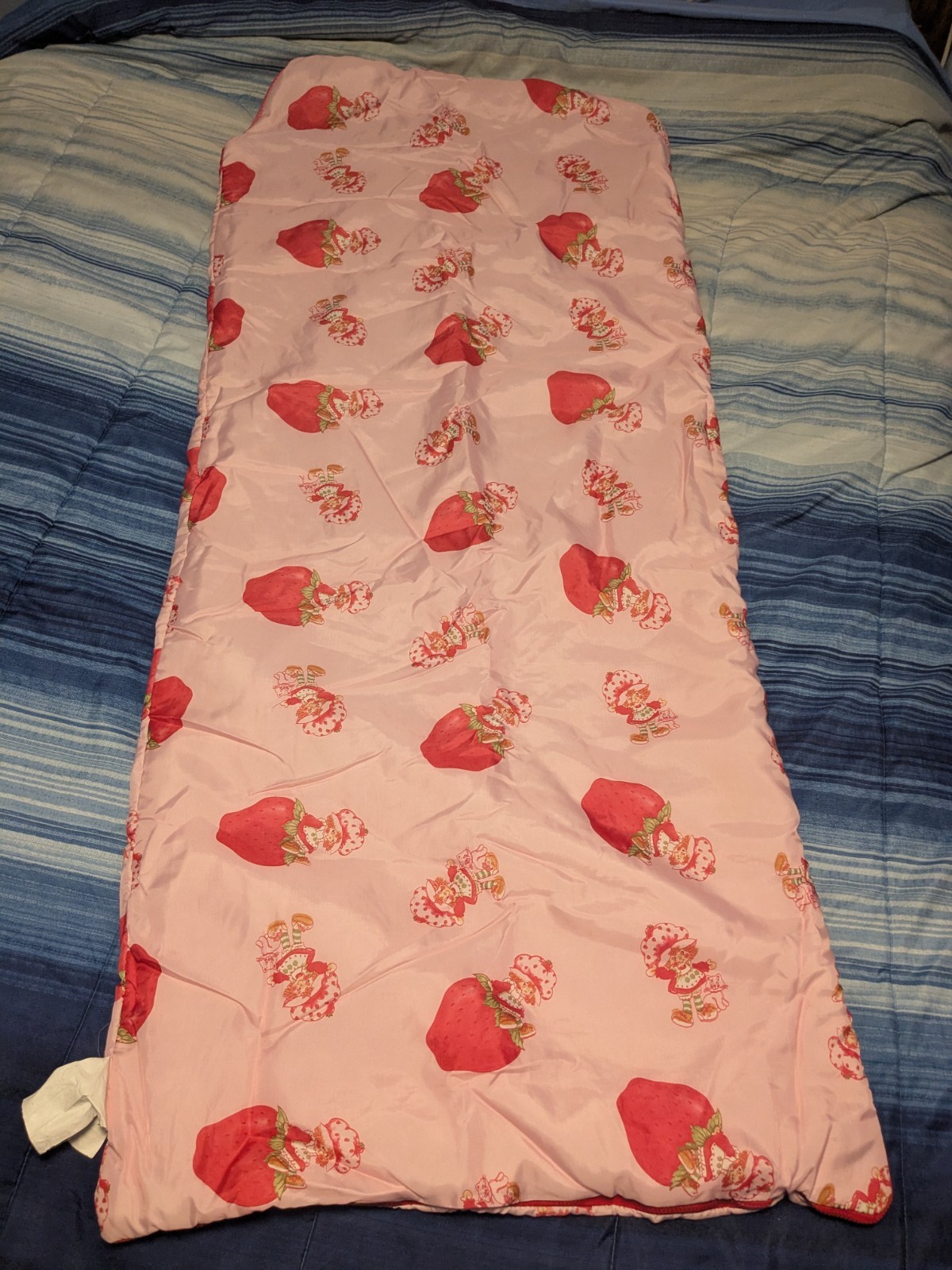 VTG Retro Strawberry Shortcake Kids Sleeping Bag/Backpack Life Is Delicious