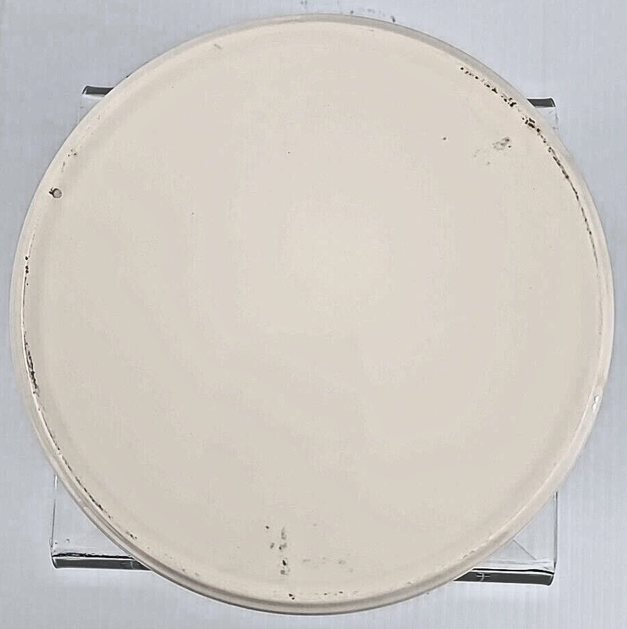 Common Wealth Savings Advertisement Ashtray Vintage
