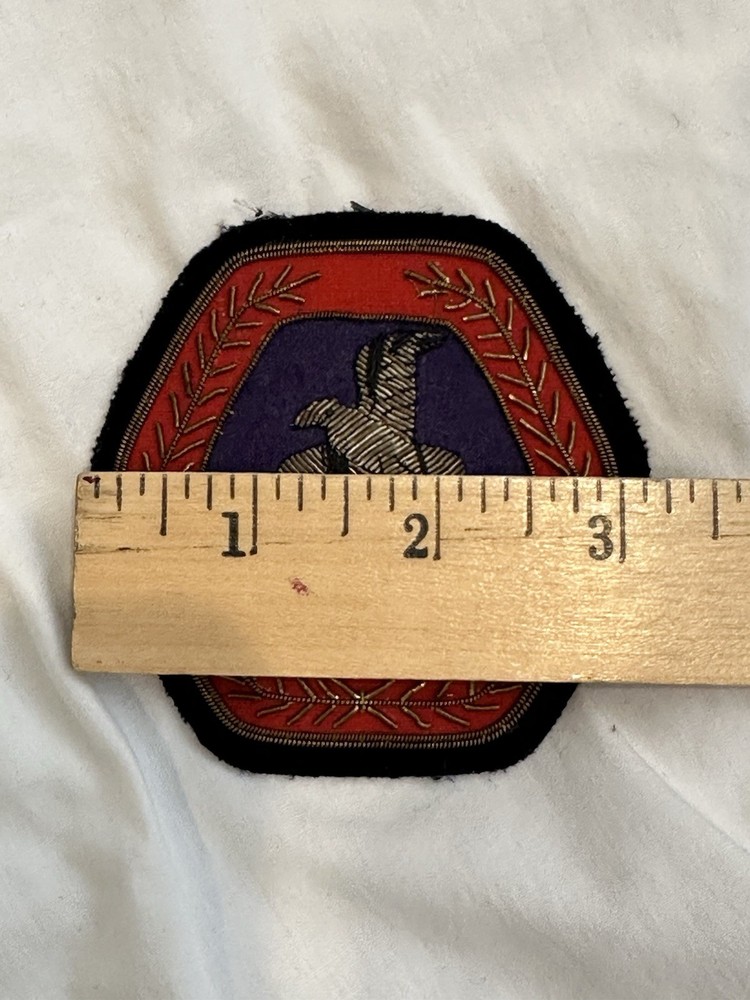 VTG Beach Ford Bird Patch Red Blue RARE