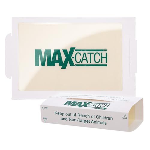 🇱🇷 Catchmaster 36-Count Pre-Baited Pest Glue Traps – Safe & Effective