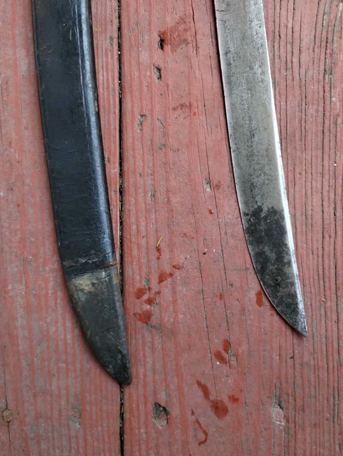 Swiss Army Short Sword / Hanger with sheath 19th cent