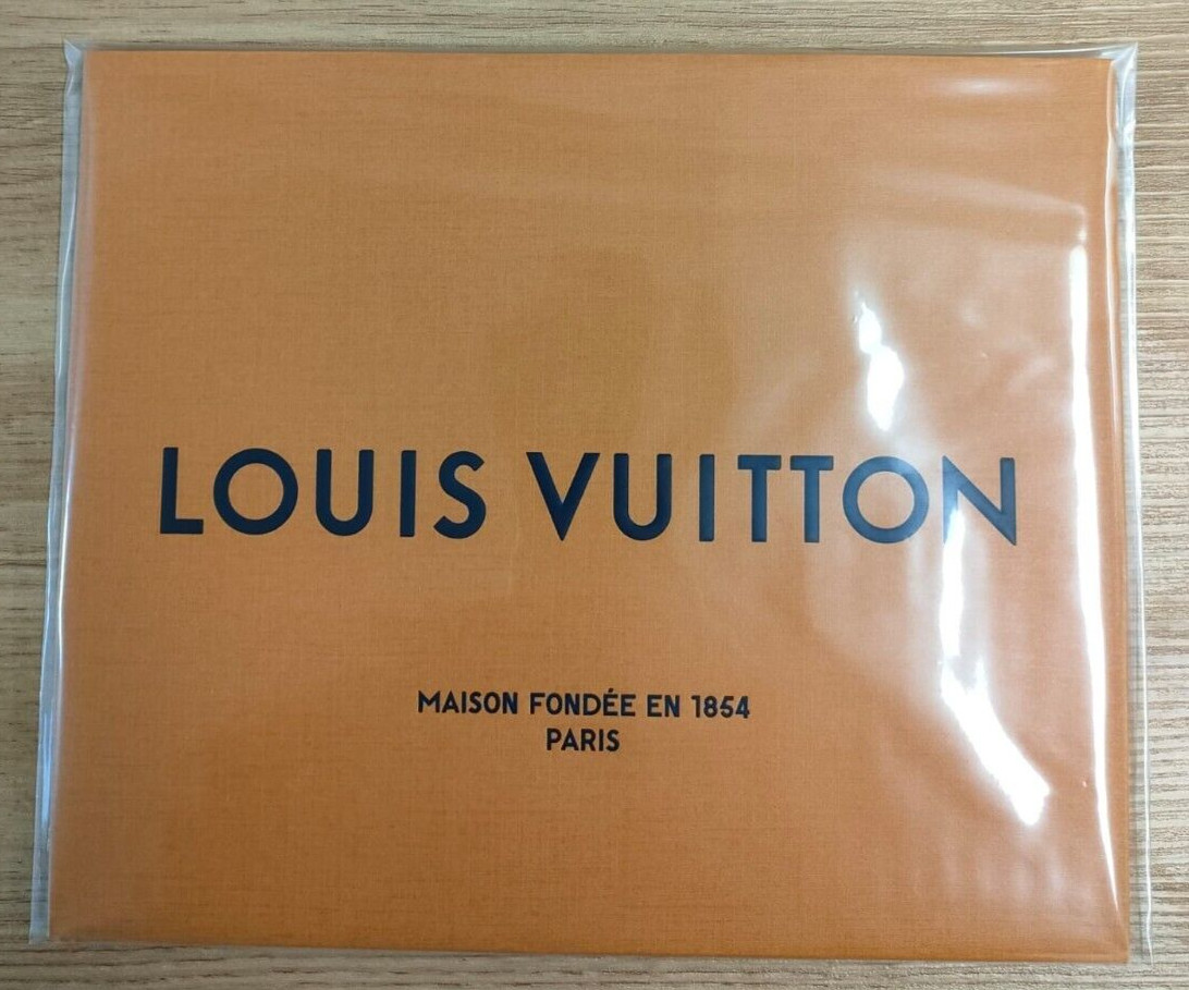 LOUIS VUITTON 10” x 8” X 6” Authentic Paper Gift/Shopping Bag Small Tote Orange