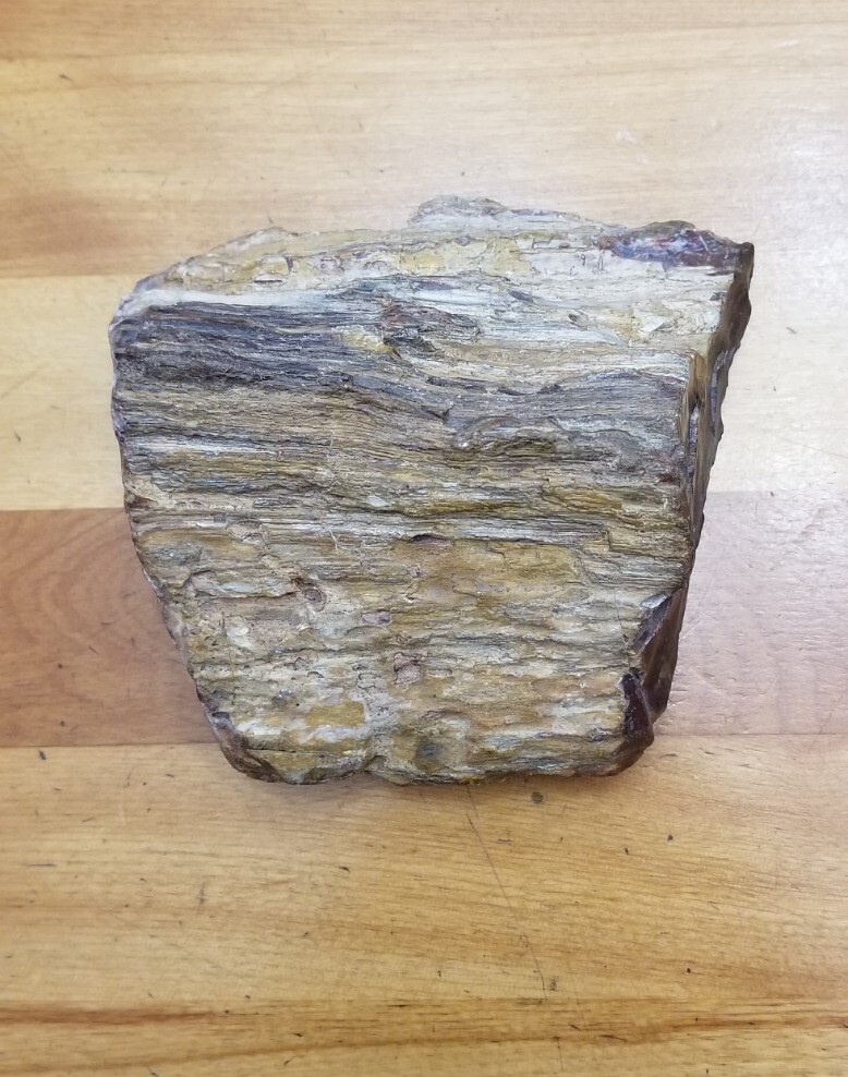 PETRIFIED WOOD 1.10 LBS