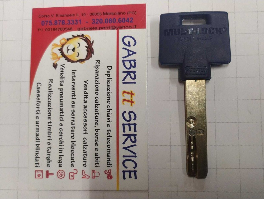 MulTLock 206 Interactive Plus 206S+ PROTECTED KEY WORKED CARD PROPERTY