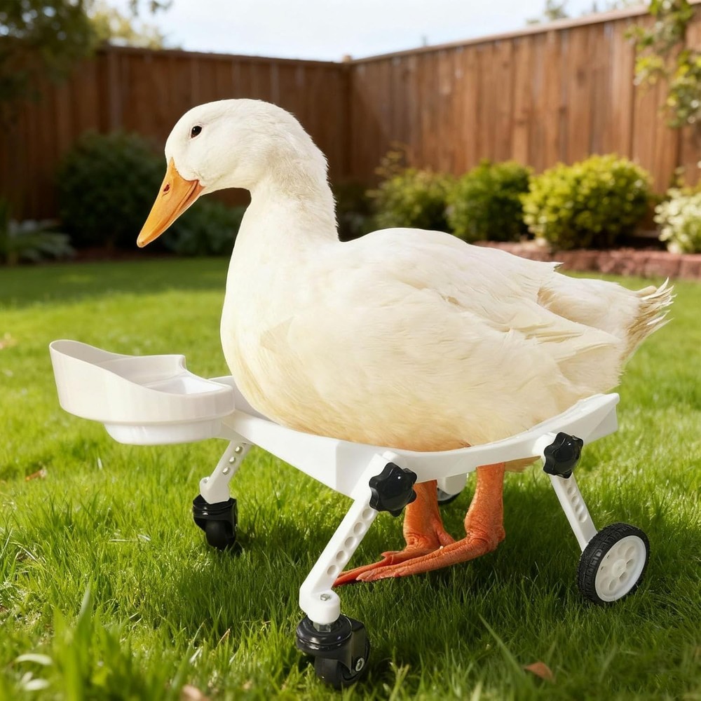 Pet Ducks Wheelchair - Adjustable Mobility Aid for Small Animals，Adjustable