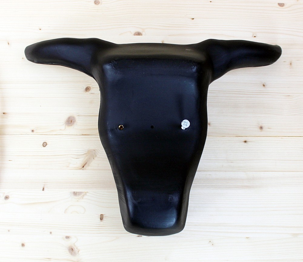 Training Head For Lasso Cowboy